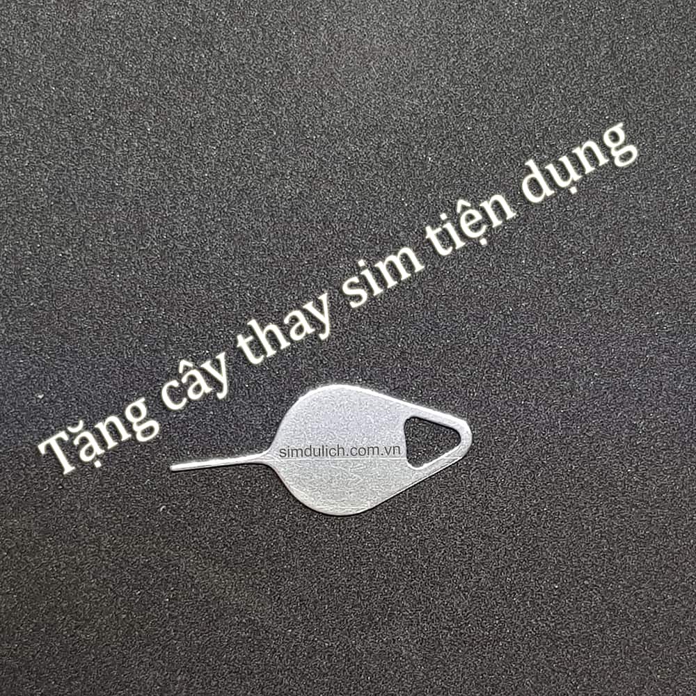 cay-thay-sim